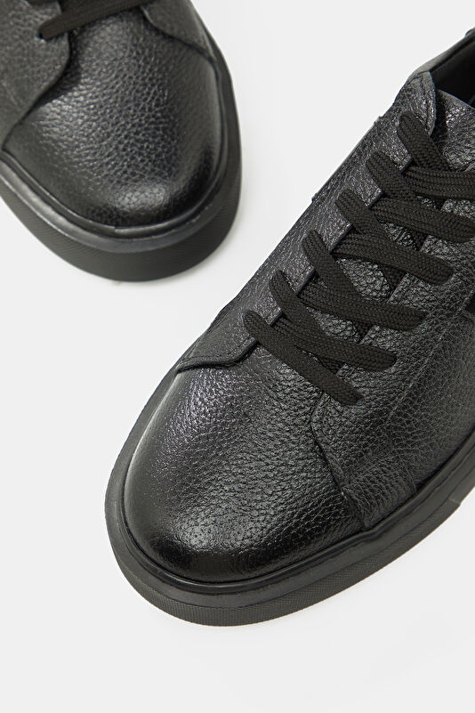 WCollection4 WCollection4