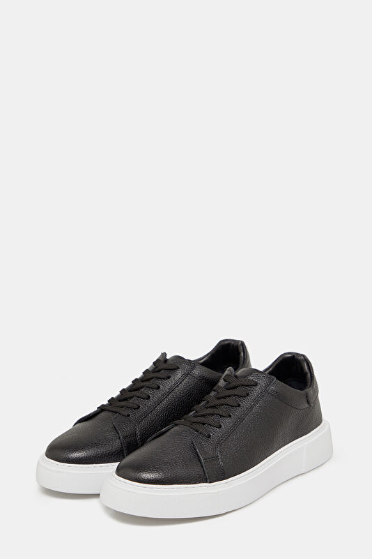 WCollection2 WCollection2