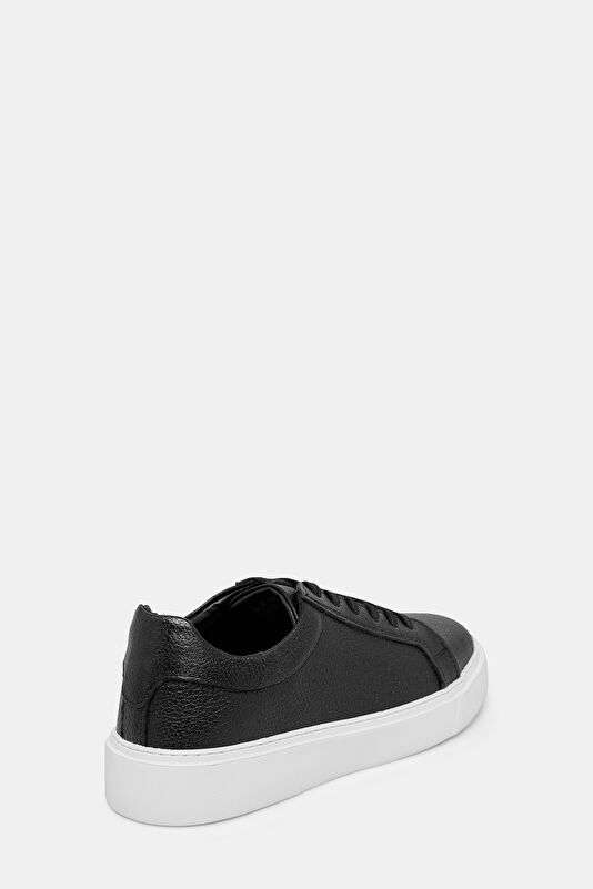 WCollection3 WCollection3