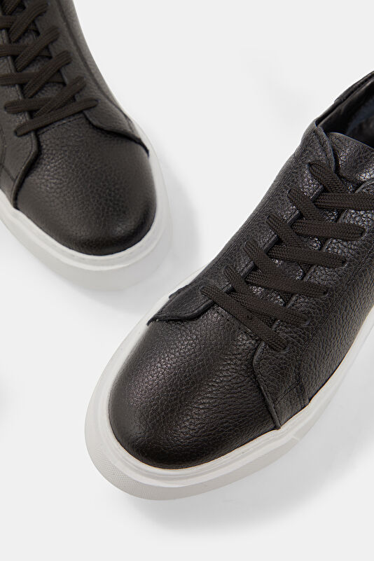 WCollection4 WCollection4