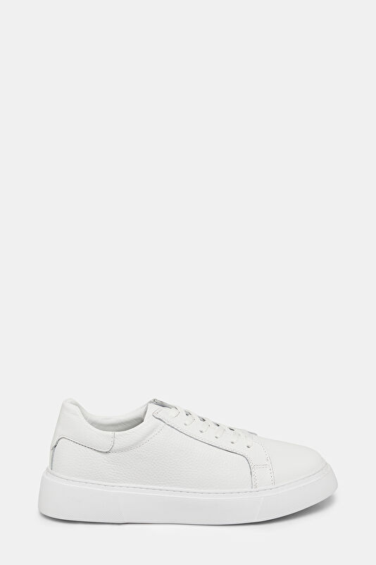 WCollection1 WCollection1