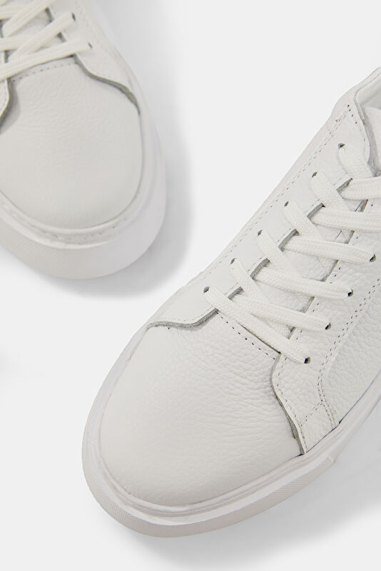 WCollection4 WCollection4