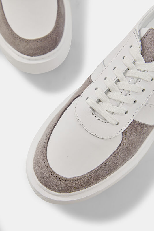 WCollection4 WCollection4