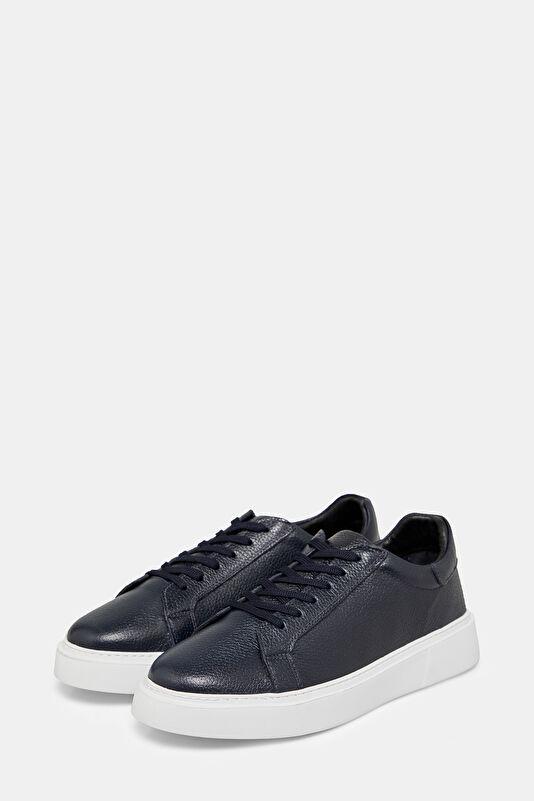 WCollection2 WCollection2