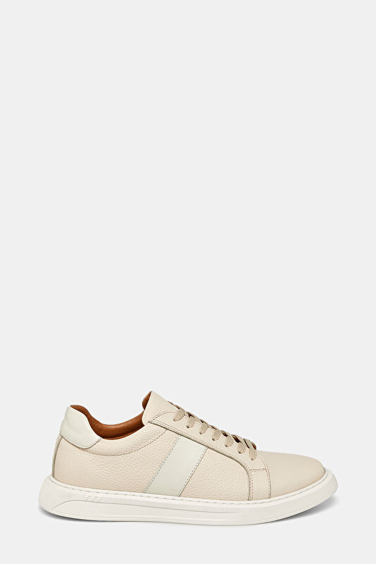 WCollection1