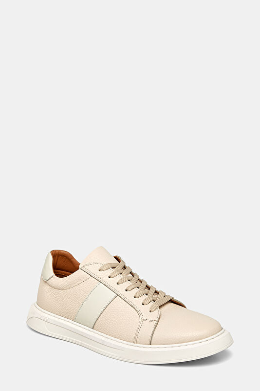 WCollection3 WCollection3