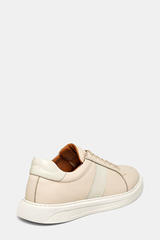 WCollection4 WCollection4