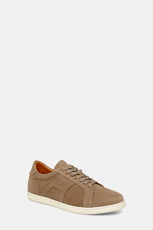 WCollection3 WCollection3