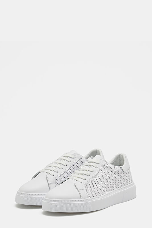 WCollection2 WCollection2