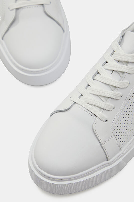 WCollection4 WCollection4