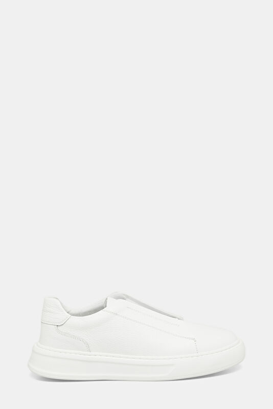 WCollection1 WCollection1