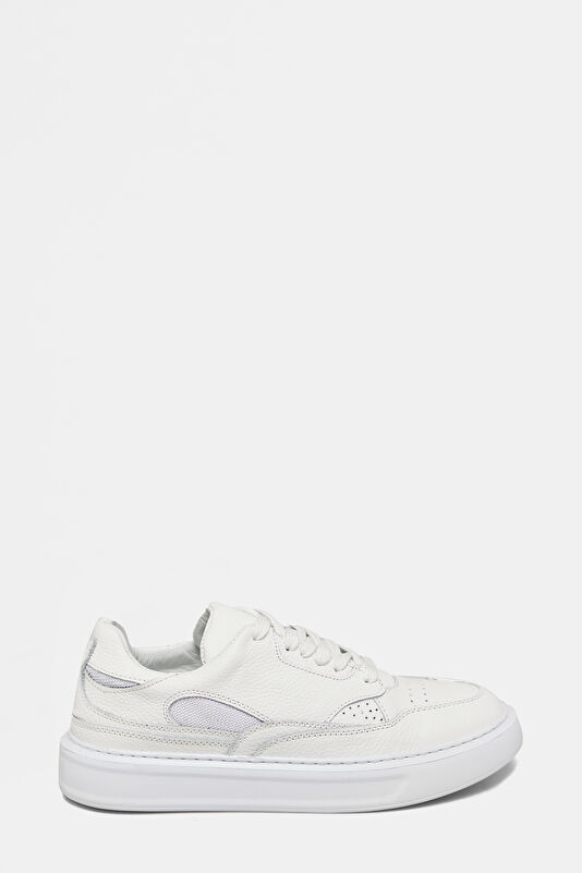 WCollection1 WCollection1