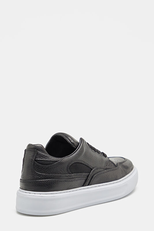 WCollection3 WCollection3