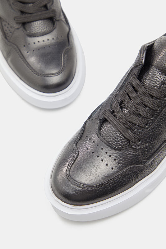 WCollection4 WCollection4