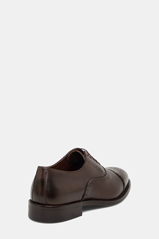 WCollection4 WCollection4