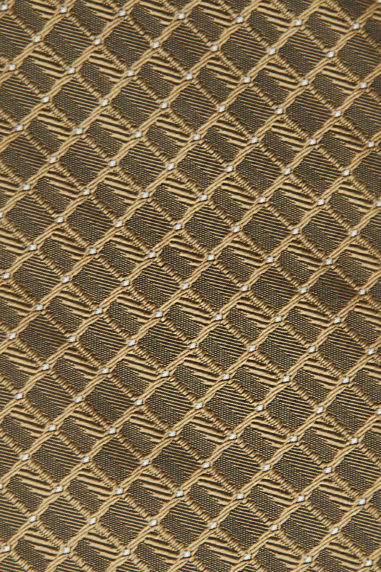 WCollection3 WCollection3