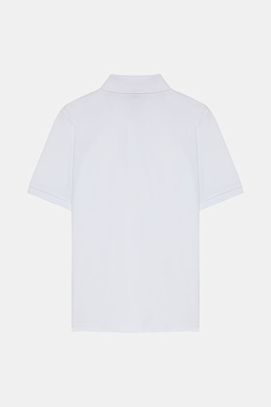 WCollection2