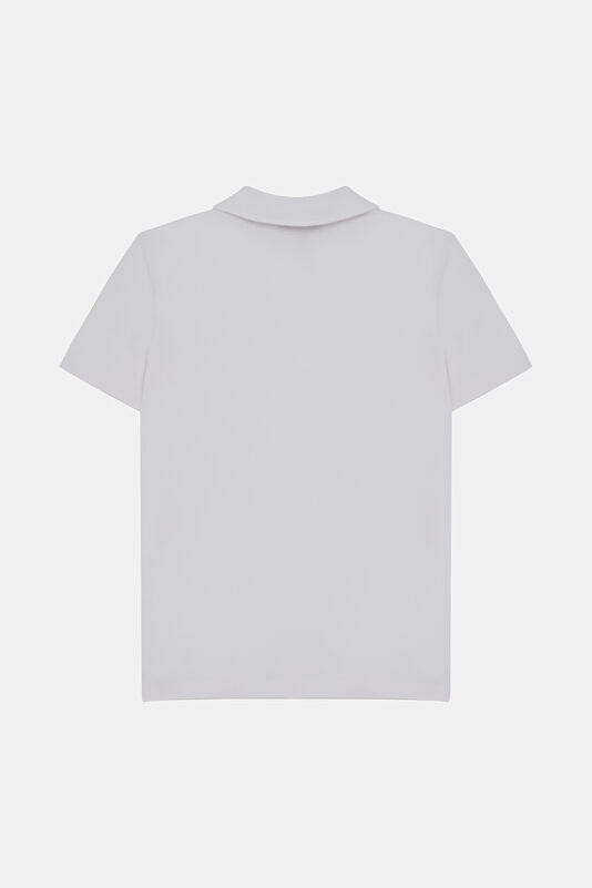 WCollection2