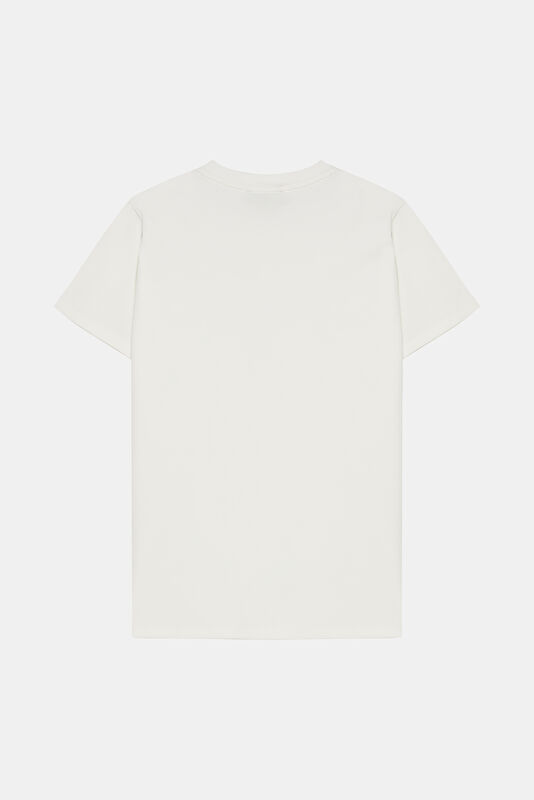 WCollection2