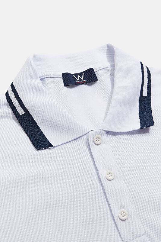 WCollection3 WCollection3