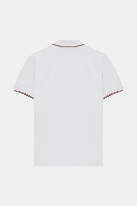 WCollection2 WCollection2