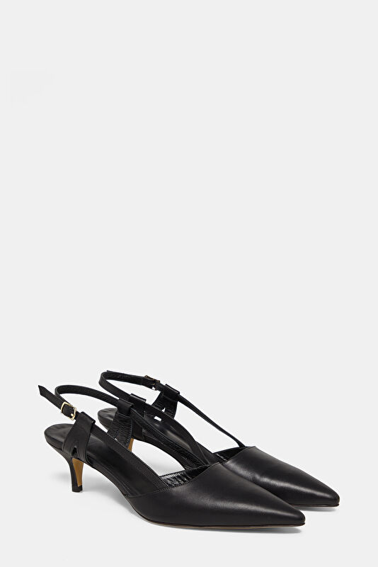 WCollection2 WCollection2