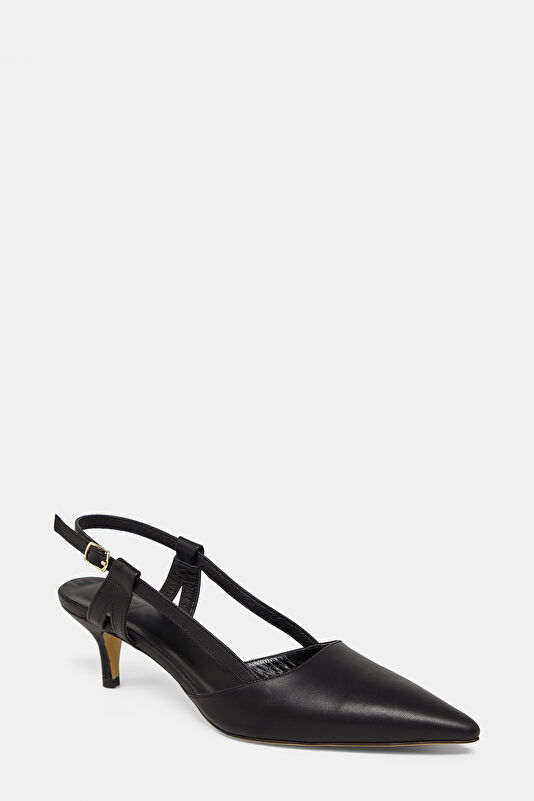 WCollection3 WCollection3