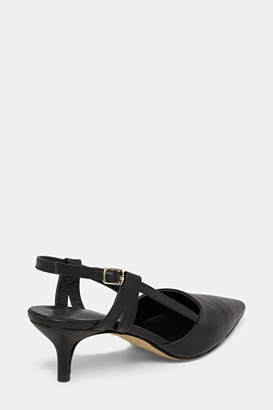 WCollection4 WCollection4