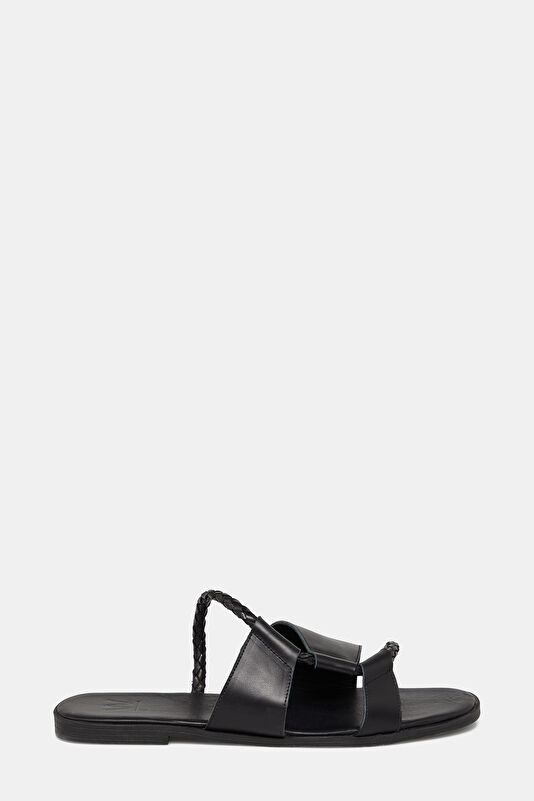 WCollection1 WCollection1