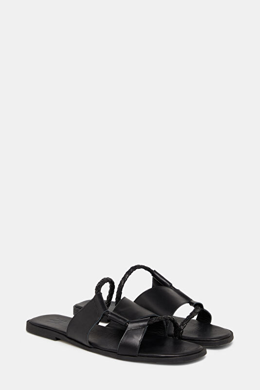 WCollection2 WCollection2