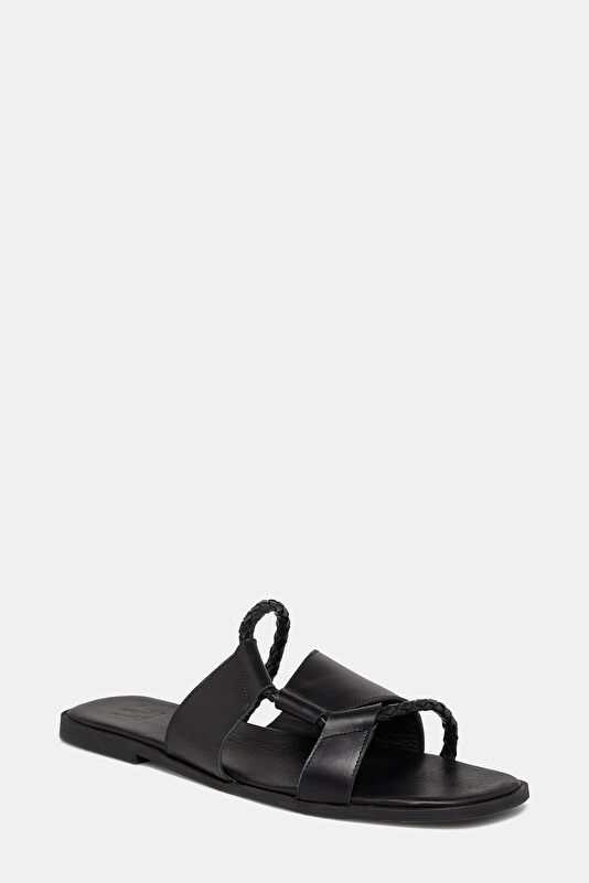 WCollection3 WCollection3