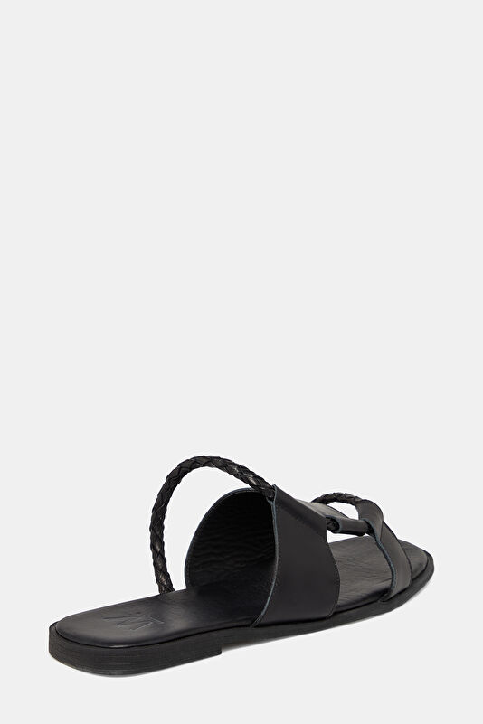 WCollection4 WCollection4