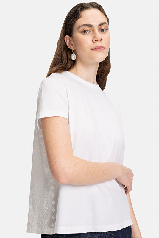 WCollection1 WCollection1