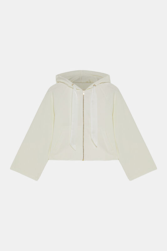 WCollection1 WCollection1