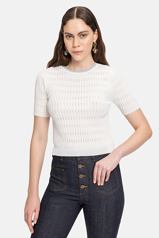 WCollection1 WCollection1