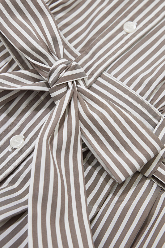 WCollection4 WCollection4