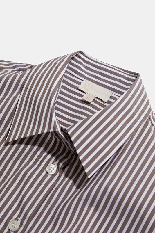 WCollection1 WCollection1