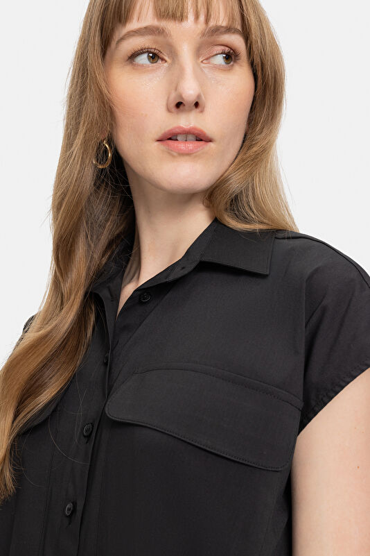 WCollection1 WCollection1