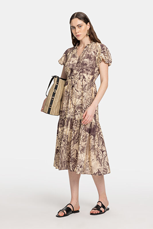 WCollection3 WCollection3