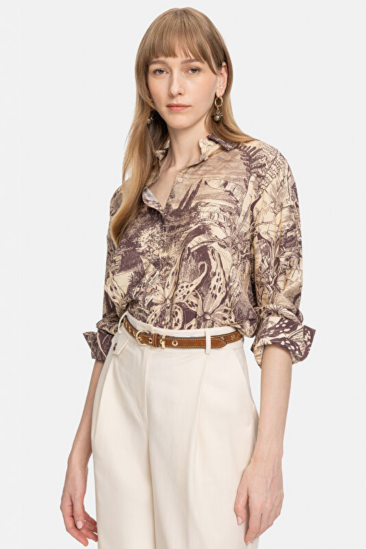 WCollection1 WCollection1