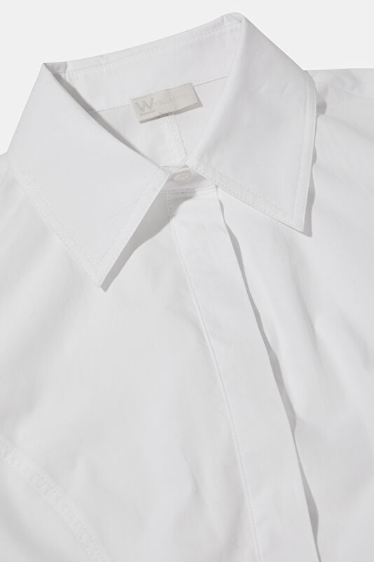 WCollection1 WCollection1