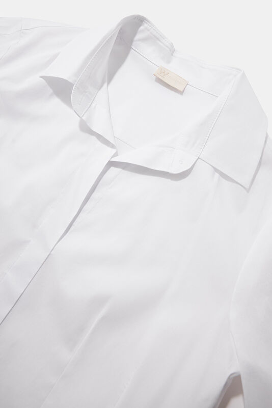 WCollection1 WCollection1