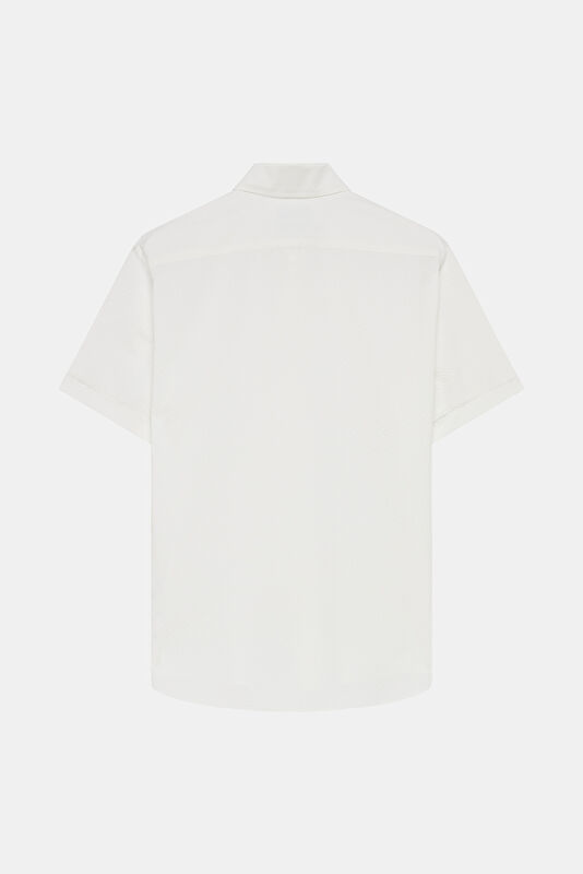 WCollection2 WCollection2