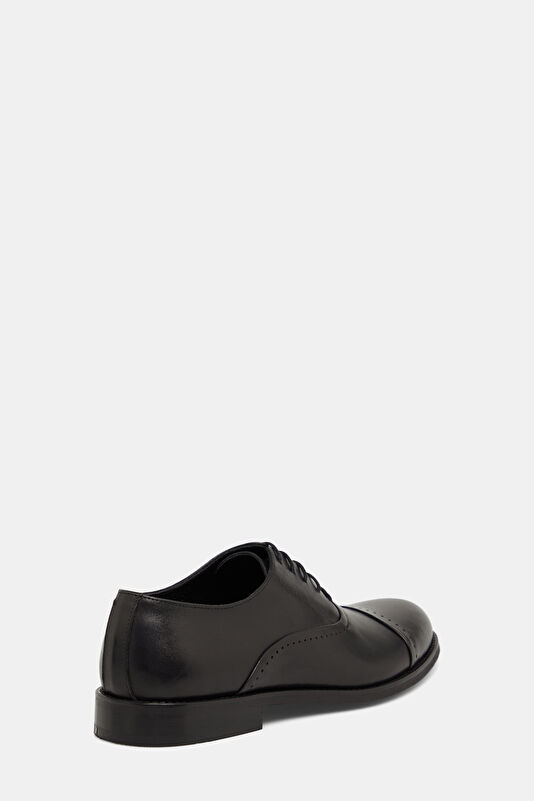 WCollection3 WCollection3