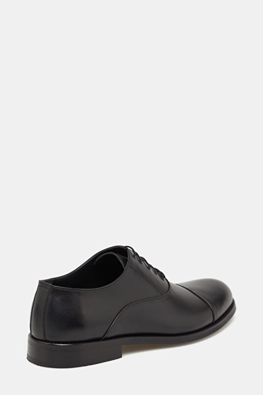 WCollection3 WCollection3