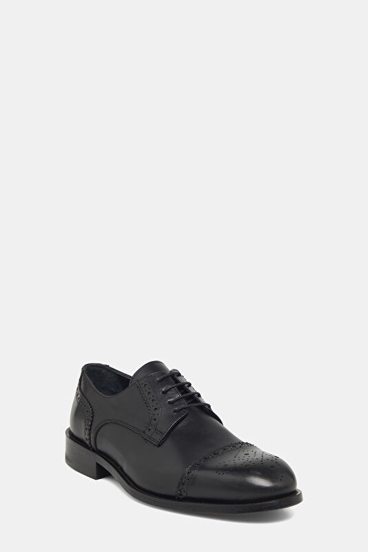 WCollection2 WCollection2