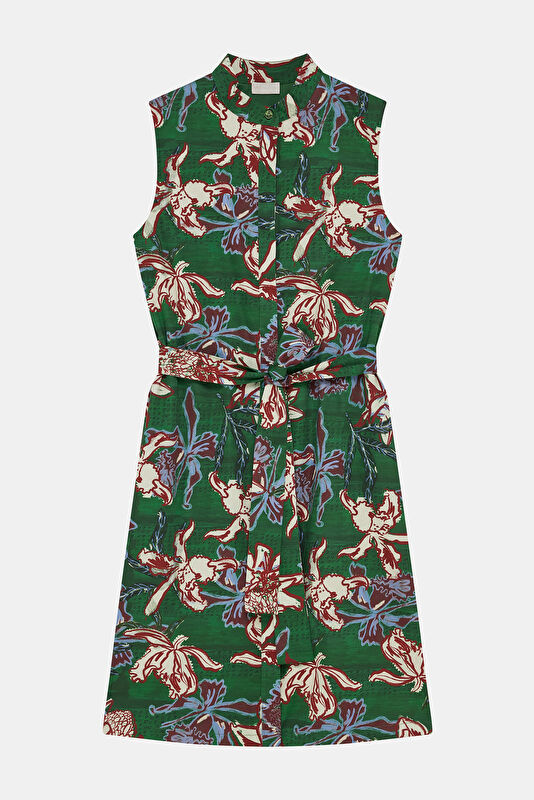 WCollection1 WCollection1