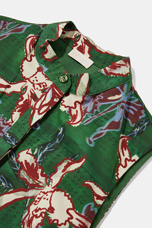 WCollection3 WCollection3