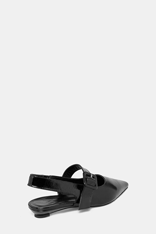 WCollection3 WCollection3