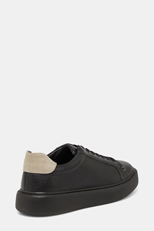 WCollection4 WCollection4